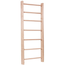 Letvenik inSPORTline Steadyline 215x80 cm