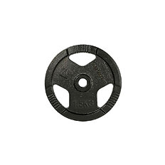 Litoželezna utež inSPORTline Hamerton Black 1,25 kg 30 mm