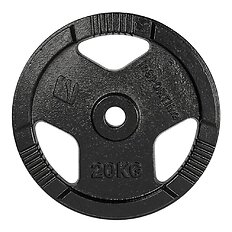 Litoželezna utež inSPORTline Hamerton Black 20 kg 30 mm