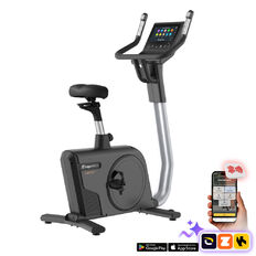 Sobno kolo inSPORTline Velocer UB