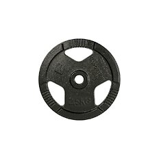 Litoželezna utež inSPORTline Hamerton Black 2,5 kg 30 mm