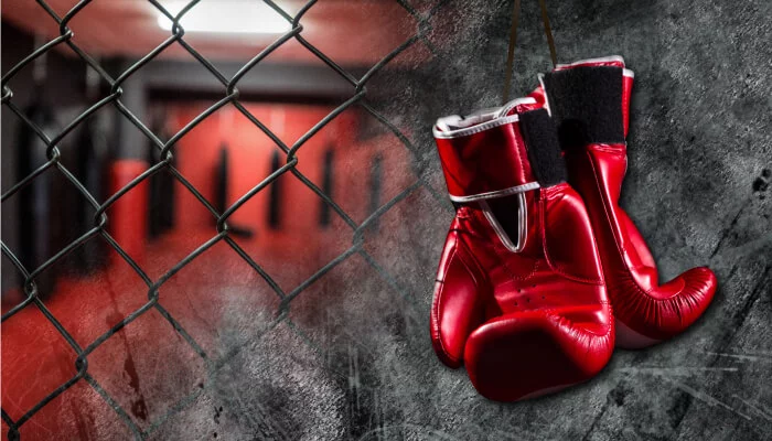 Boks MMA rokavice