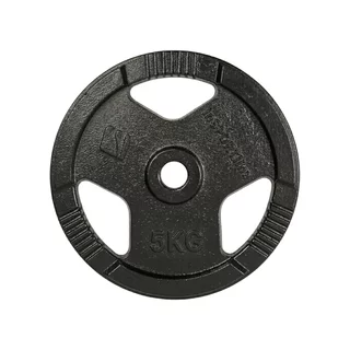 Litoželezna utež inSPORTline Hamerton Black 5 kg 30 mm