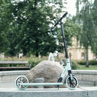 Skiro inSPORTline Wayomint