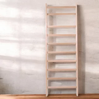 Letvenik inSPORTline Directline 300 x 100 cm