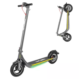Električni skiro W-TEC Dalfin 10" - siva - siva