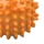 oranžna