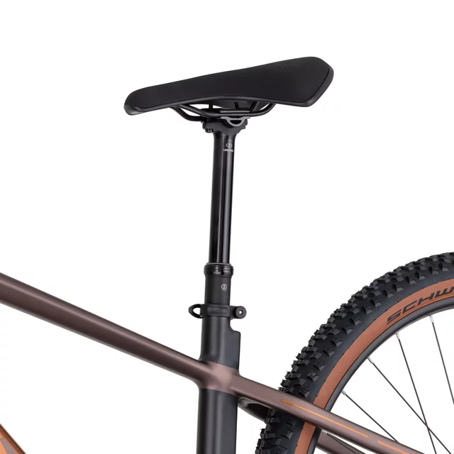 Gorsko e-kolo inSPORTline ISL Tachion EVO 835 Wh 29" - model 2026 • doseg do 180 km - Deep Coffee