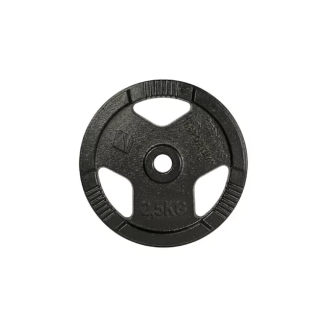 Litoželezna utež inSPORTline Hamerton Black 2,5 kg 30 mm