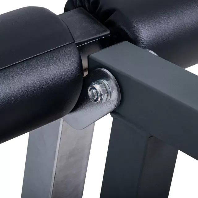 Nastavek za klop Profi Sit Up Bench