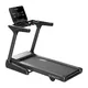 Tekalna steza inSPORTline ZenRun 45