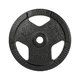 Litoželezna utež inSPORTline Hamerton Black 10 kg 30 mm