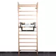 Drog Dip Station inSPORTline LCR-11114B - zelena