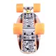 Pennyboard WORKER Bambo 22" - cvet