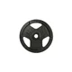 Litoželezna utež inSPORTline Hamerton Black 1,25 kg 30 mm