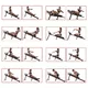 Klop za celotno telo inSPORTline Omni-Fit