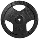 Litoželezna utež inSPORTline Hamerton Black 25 kg 30 mm