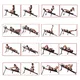 Klop za celotno telo inSPORTline Omni-Fit