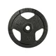 Litoželezna utež inSPORTline Hamerton Black 5 kg 30 mm