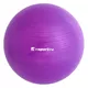 Gimnastična žoga inSPORTline Top Ball 45 cm - zelena - vijolična