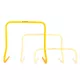 Ovira za vadbo inSPORTline CF100 45 cm