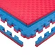 Puzzle tatami podloga inSPORTline Malmeida 100x100x4 cm - rdeče-modra, vzorec 5 črt