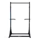 inSPORTline Power Tower ON-X PT200