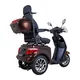 Električni trikolesnik inSPORTline Zorica Deluxe z elektromagnetno zavoro - rjava