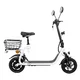 Električni skiro W-TEC Billar III 500W 12"