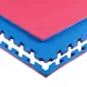 Puzzle tatami podloga inSPORTline Sazegul 100x100x2 cm - rdeče-modra, vzorec 5 črt