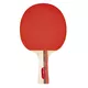 Set za namizni tenis inSPORTline Ekiset EK2