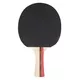 Set za namizni tenis inSPORTline Ekiset EK2