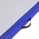 Airtrack inSPORTline Airstunt 500x100x10 cm bela