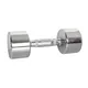 5 kg kromirana utež inSPORTline Chrome