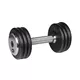 Enoročna utež inSPORTline ProfiST 10 kg