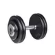 Enoročna utež inSPORTline ProfiST 25 kg