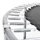 Trampolin set inSPORTline Irbiso 366 cm