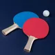 Biljard miza 3v1 inSPORTline Residento - svetel les