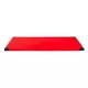 Gimnastična blazina inSPORTline Roshar T90 200x120x5 cm - modra