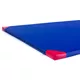 Gimnastična blazina inSPORTline Roshar T90 200x120x5 cm - modra